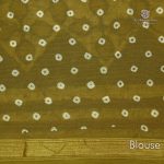Jaipur Cotton Saree - Light Mehandi SASC00333634 - Image 3