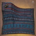 Pure Chanderi Silk Sarees - Multi-color SASFS34669