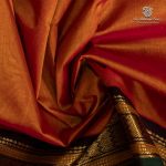 10 Yards Silk Cotton Sarees - Honey SASTS0035888 - Image 2
