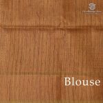 Semi Tussar Fancy Sarees -  Light Lime Green SASMS36009 - Image 3