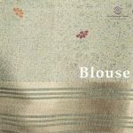 Paitani Fancy Sarees - Pista Green SASMS36216 - Image 3