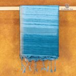 Fancy Tussar Sarees - Light Blue SASMS36394