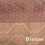 Fancy Tussar Sarees - Lime Green SASFS36459 - Image 3