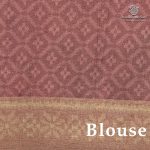Fancy Tussar Sarees - Muddy Brown SASFS36461 - Image 3
