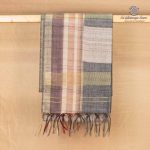 Fancy Raw Silk Saree - Beige SASFS36606