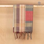 Fancy Raw Silk Saree - Earth Red SASFS36609