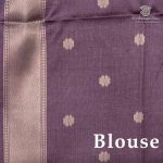 Fancy Raw Silk Saree - Lilac SASFS36611 - Image 3