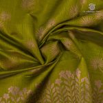 Fancy Raw Silk Saree - Lime Green SASFS36623 - Image 2