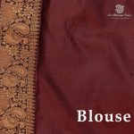 Fancy Sarees - Rust Orange SASFS36820 - Image 3