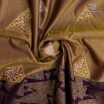 Fancy Soft Silk Saree - Dual Shade Honey SASFS37407 - Image 2