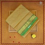 10 Yards Silk Cotton Sarees - Dark Cream SASTS0038138