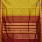 NITII - Golden Yellow SASFS38986 - Image 2