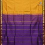 NITII - Golden Yellow SASFS39029 - Image 2